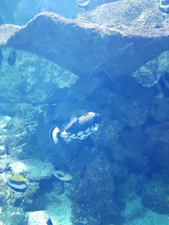 Image de profil de Patricia