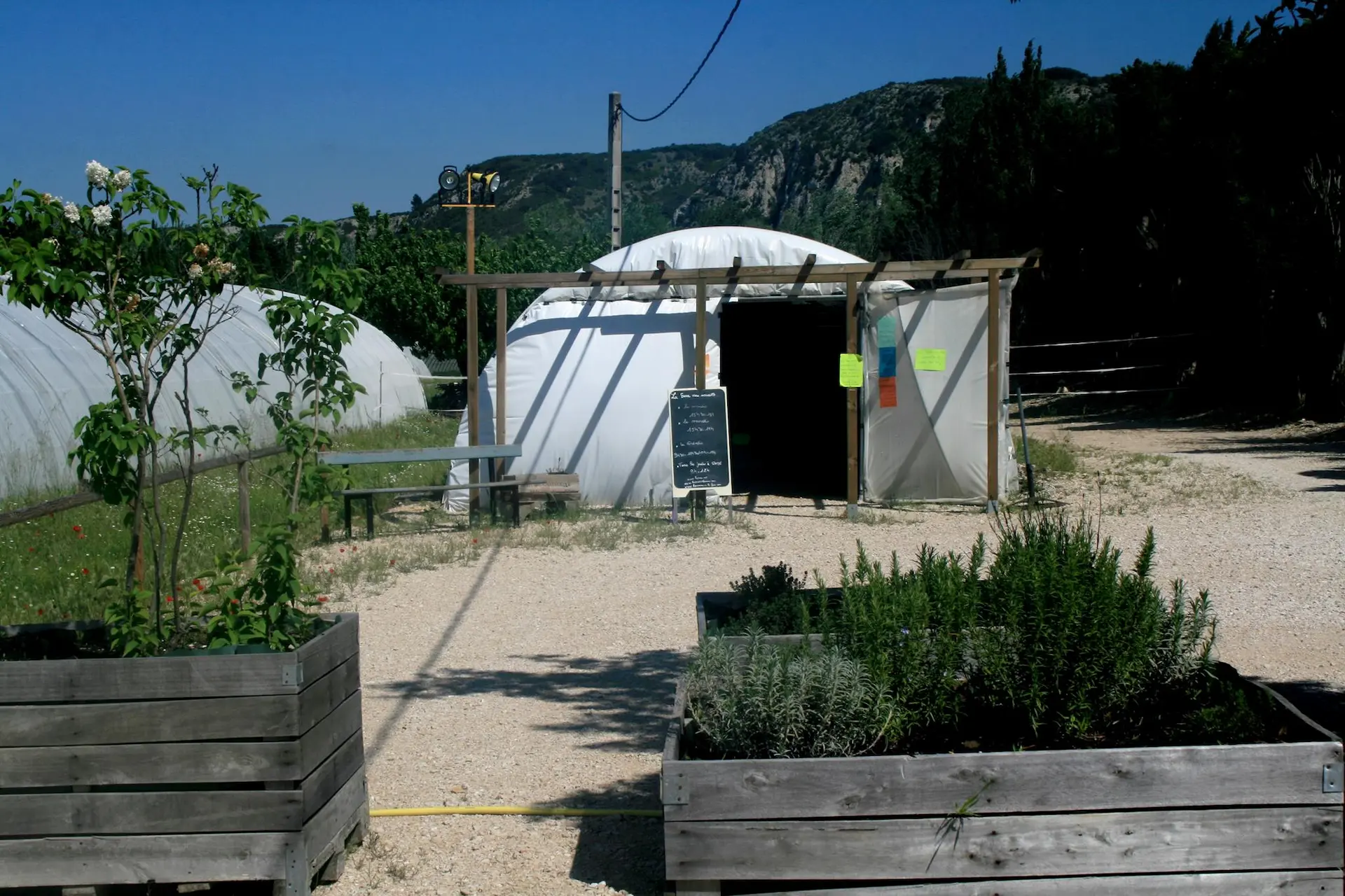 Vue du tunnel de culture de La Serre qui sert de boutique.