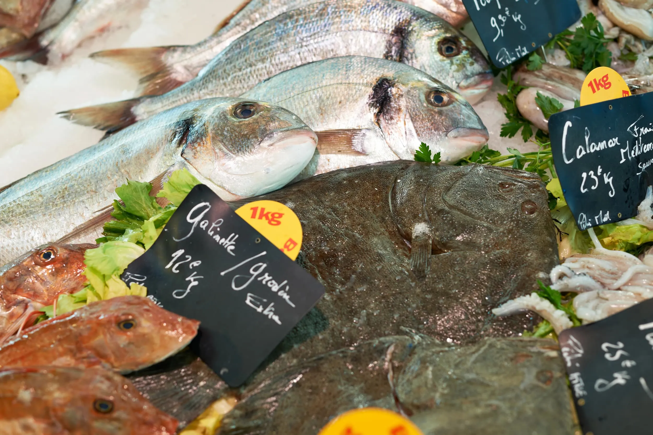 Poisson méditerranéen frais sur le marché en Provence